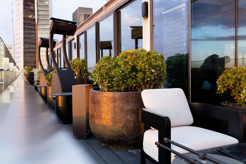 Commercial outdoor plant hire