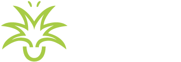 Green Design Indoor Plant Hire