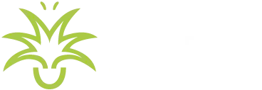 Green Design Indoor Plant Hire
