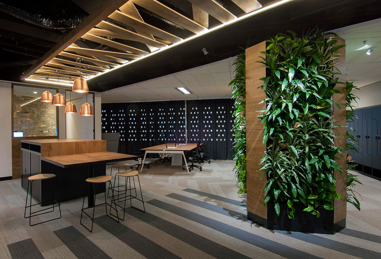 An example of using plants and joinery for a stunning effect.