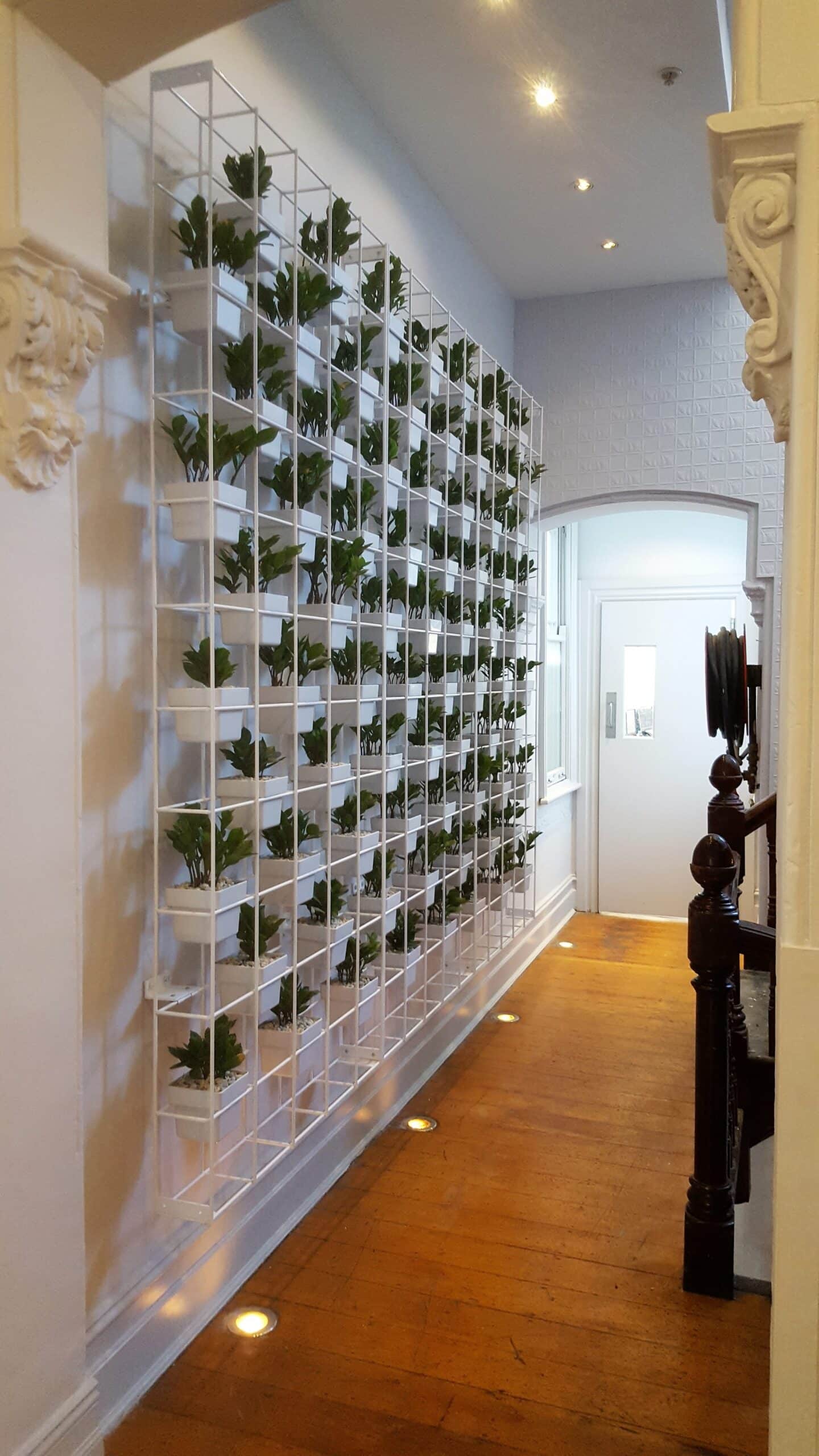 Vertical garden, indoor plant hire, office plant hire, vertical planting, vertical greenery, interior office design