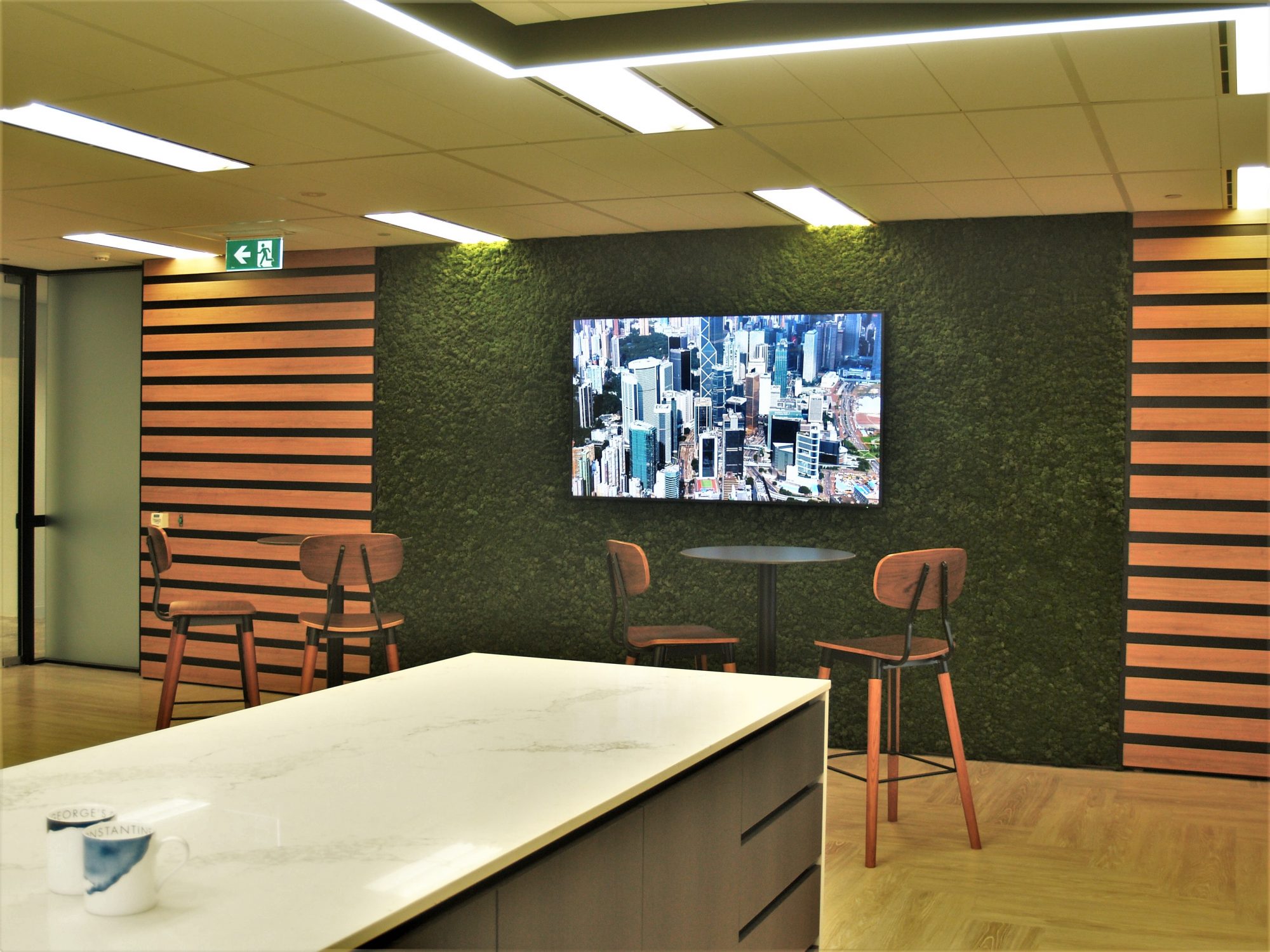 Moss Wall, Green Wall, indoor plant hire, office plants, office plant hire, green design,