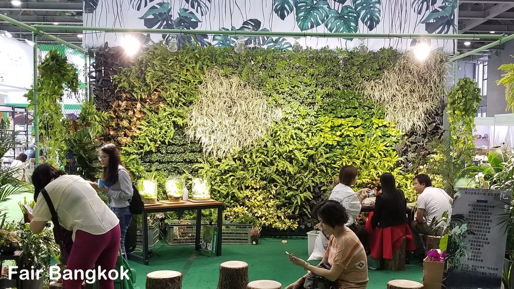 VertiGan, VertiGan Green Wall, Green Wall, Vertical Garden, Vertical Gardens, Indoor Plant Hire, Green Design Indoor Plant Hire, Office Plants, Office Plant Hire, Indoor Plants, Vertical Planting