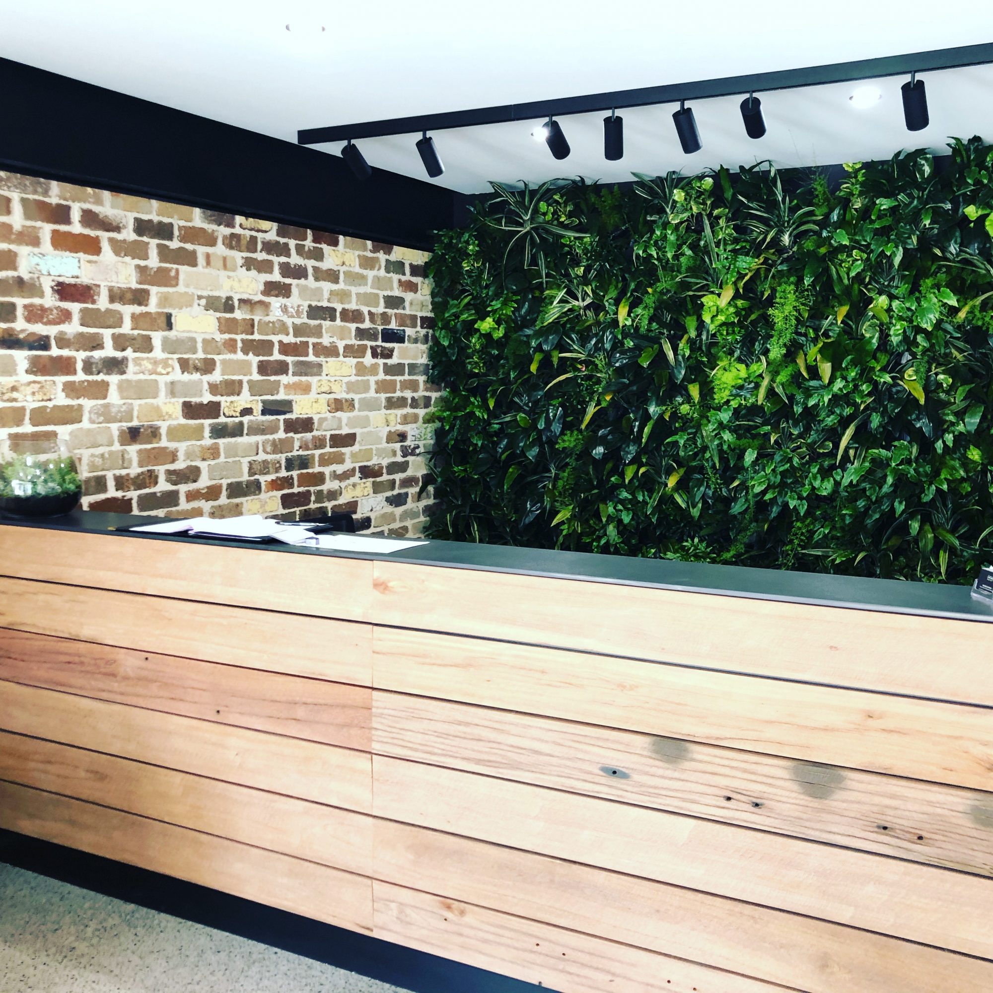 Green Wall, Vertical Garden, Vertical Greenery, Wall Garden, Green Design, Indoor Plant Hire, Office Plants, Office Plant Hire,