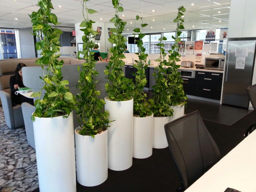 Bespoke Living Wall Systems