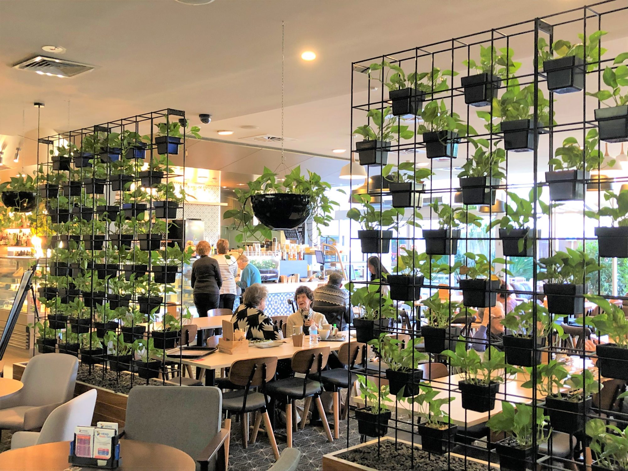 Traditional Vertical Garden at Gosford RSL