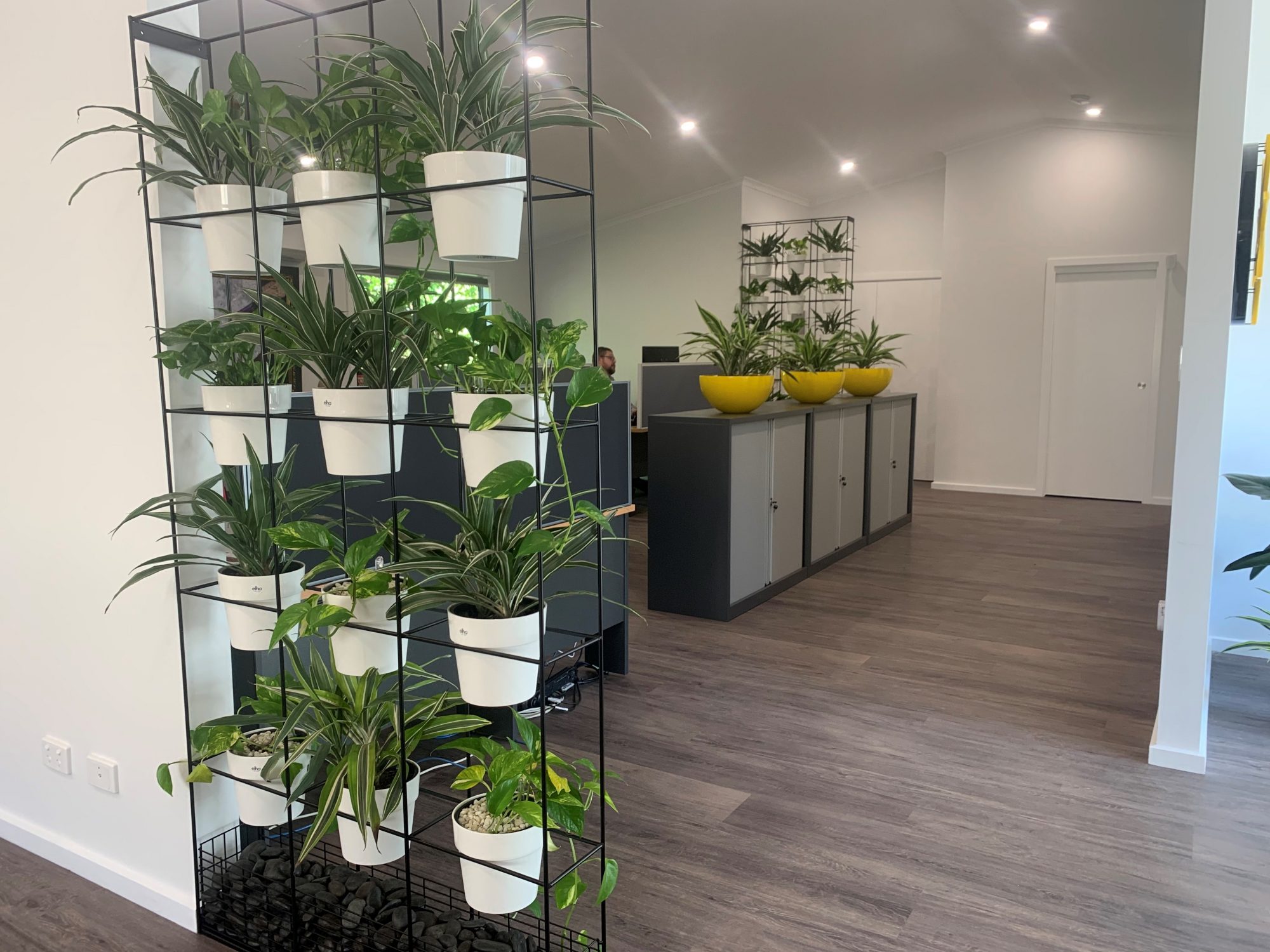 Vertical Garden At Green Design’s office