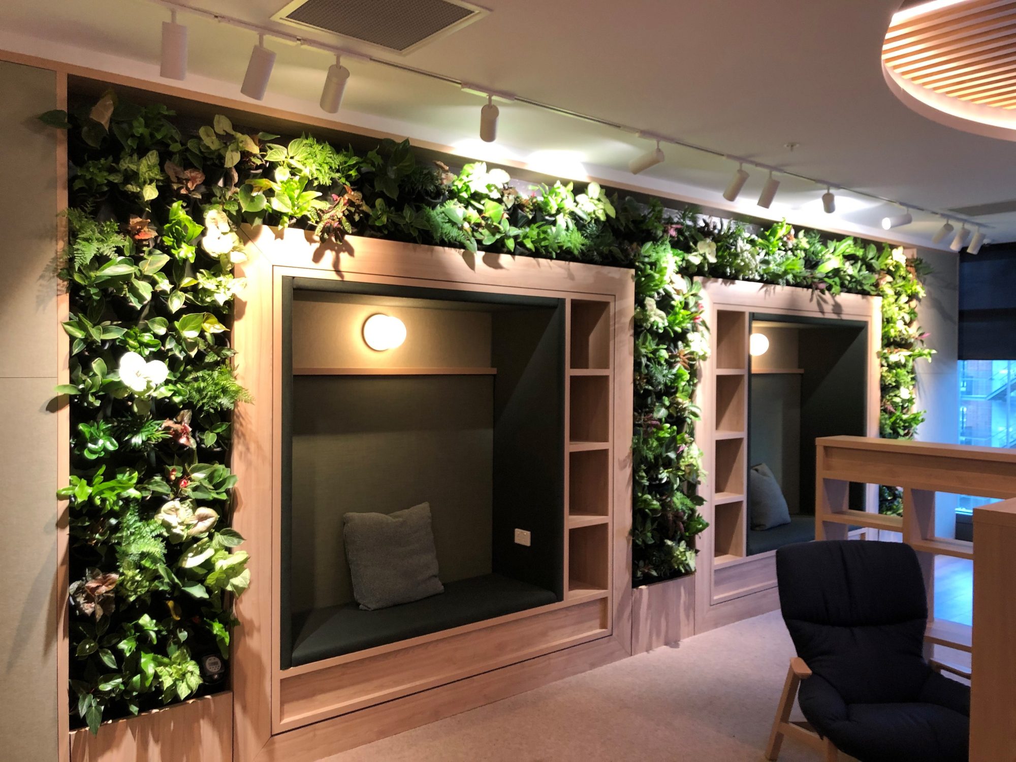 An example of using plants and joinery for a stunning effect.