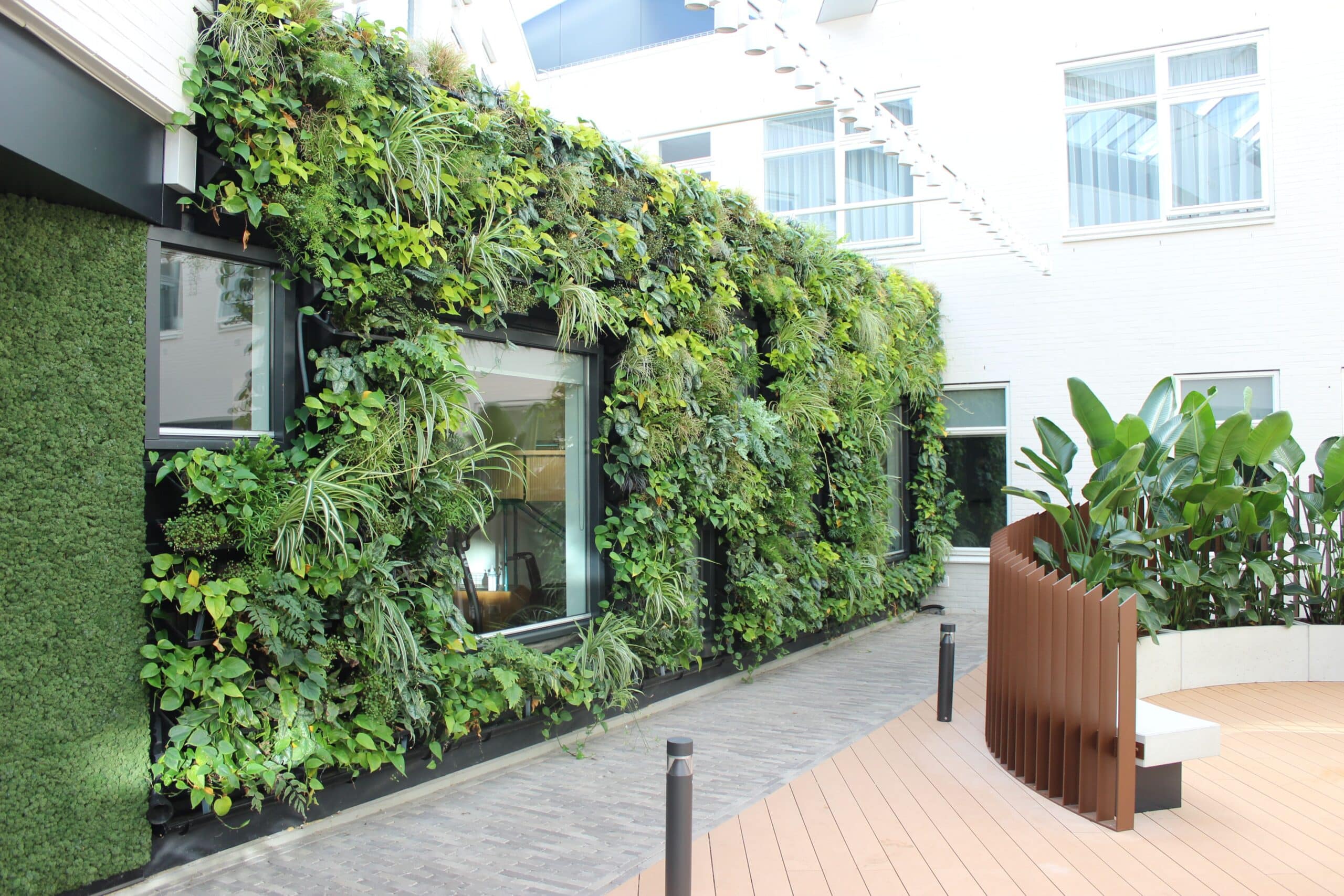 green design, indoor plant hire, green wall,