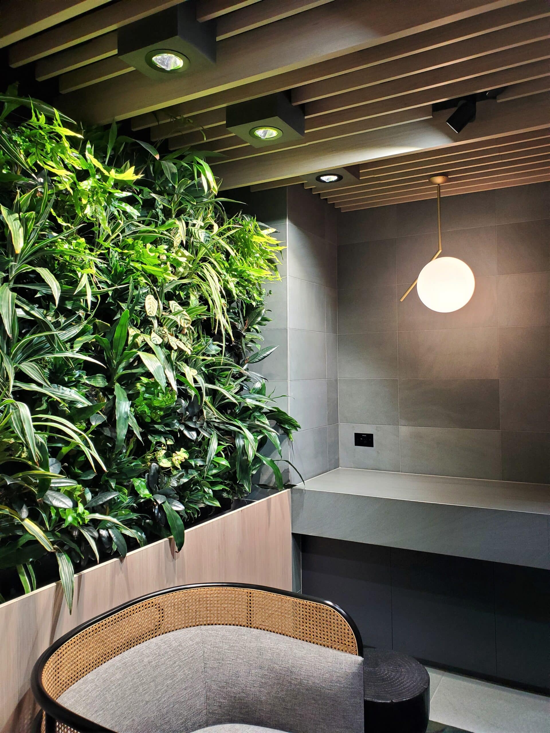 Green Wall, Living Green Wall, Vertical Planting, Vertical Garden,