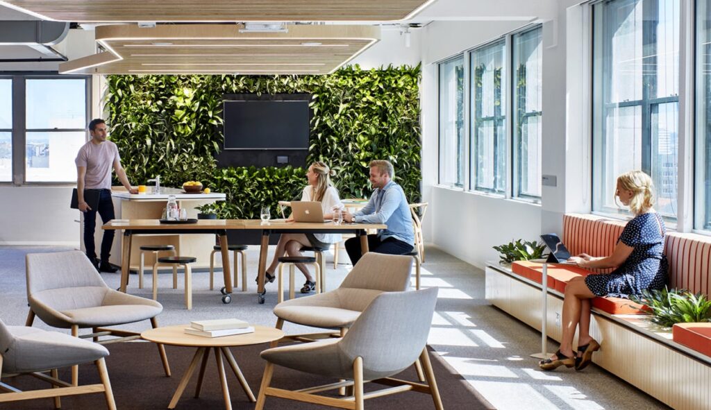 Living Green Wall, Green Wall, Vertical Garden, Office Plant Hire, Indoor Plant Hire
