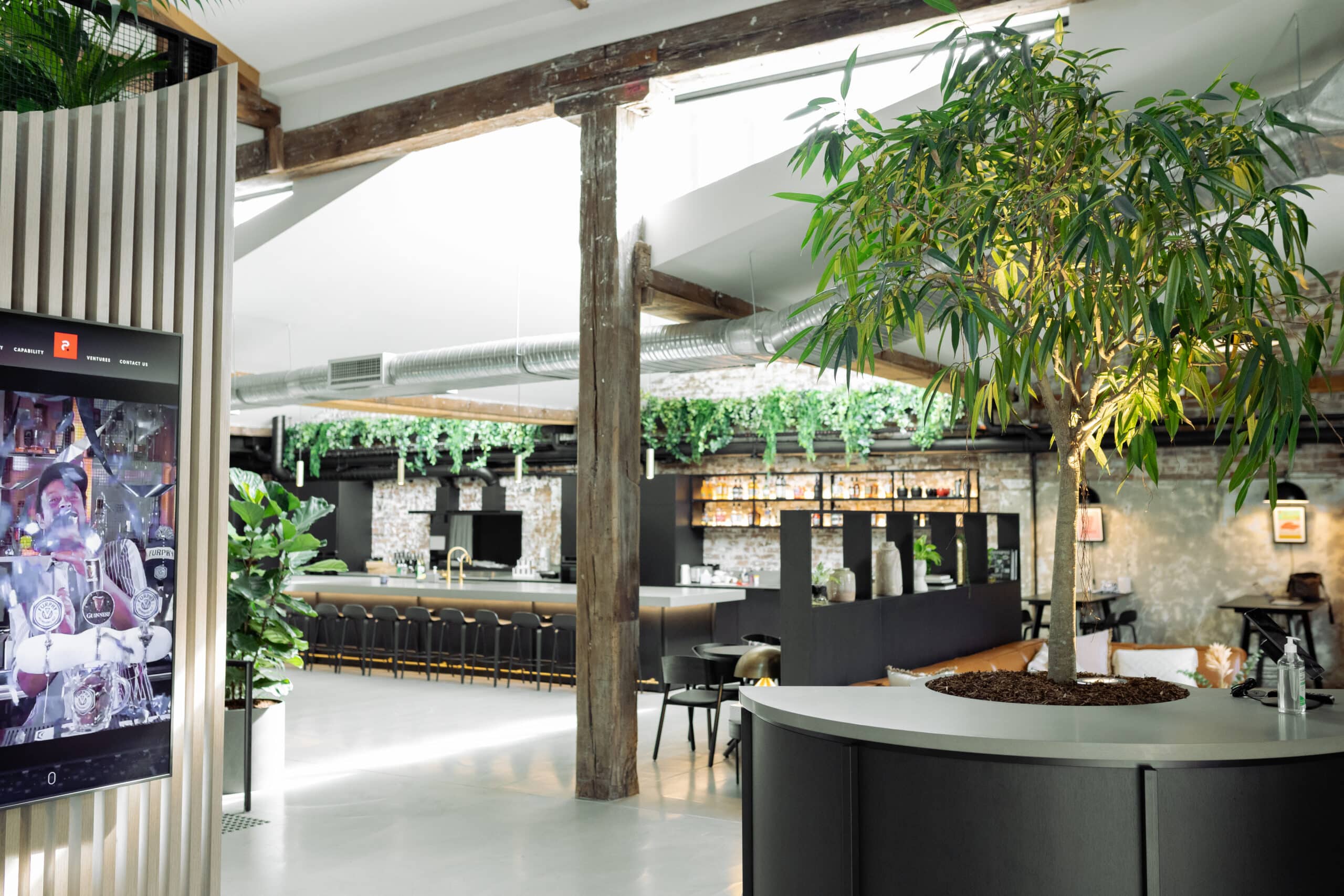 Office Plant Design