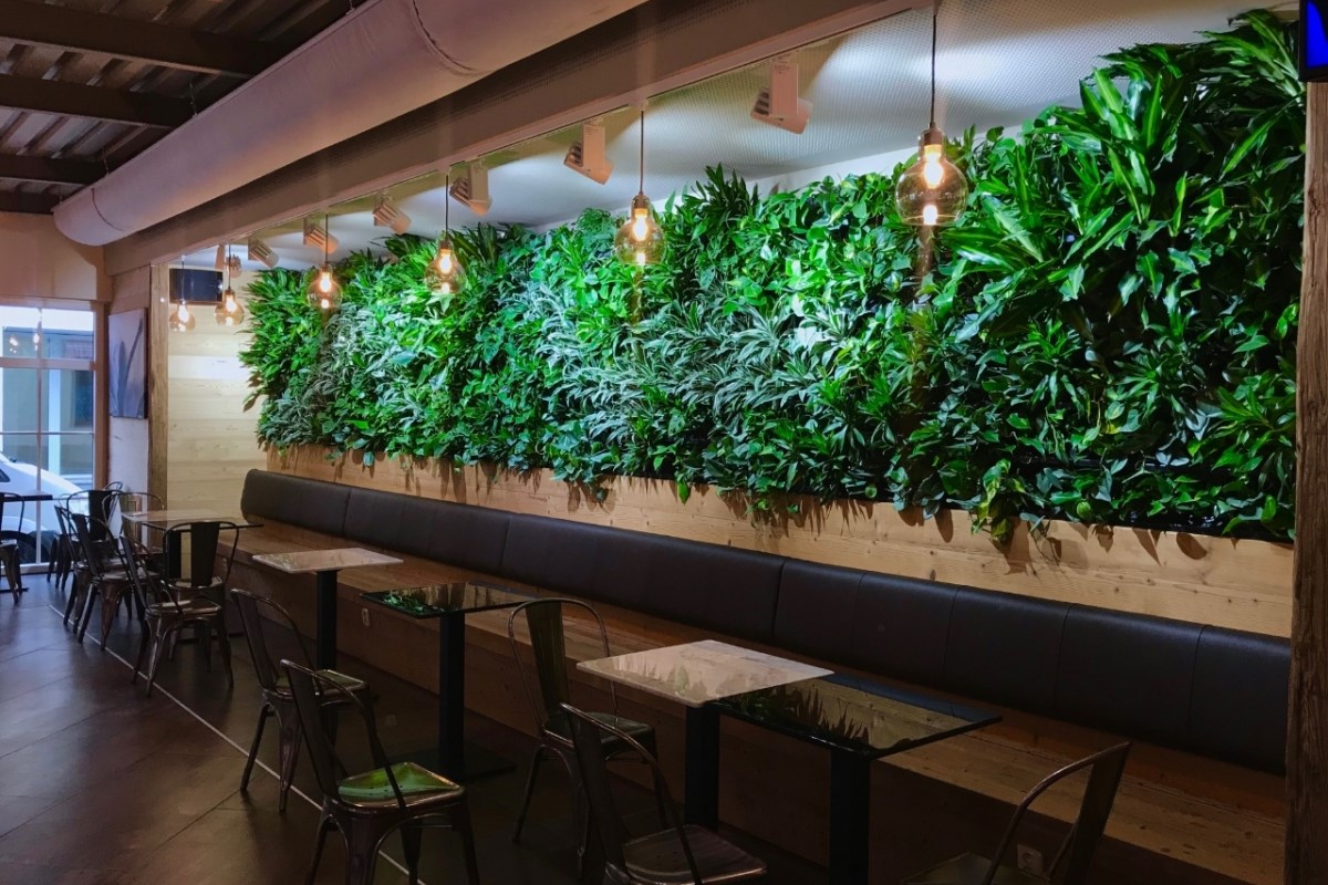 Nextgen Living Wall, Green Wall, Indoor Plant Hire, Biphilia