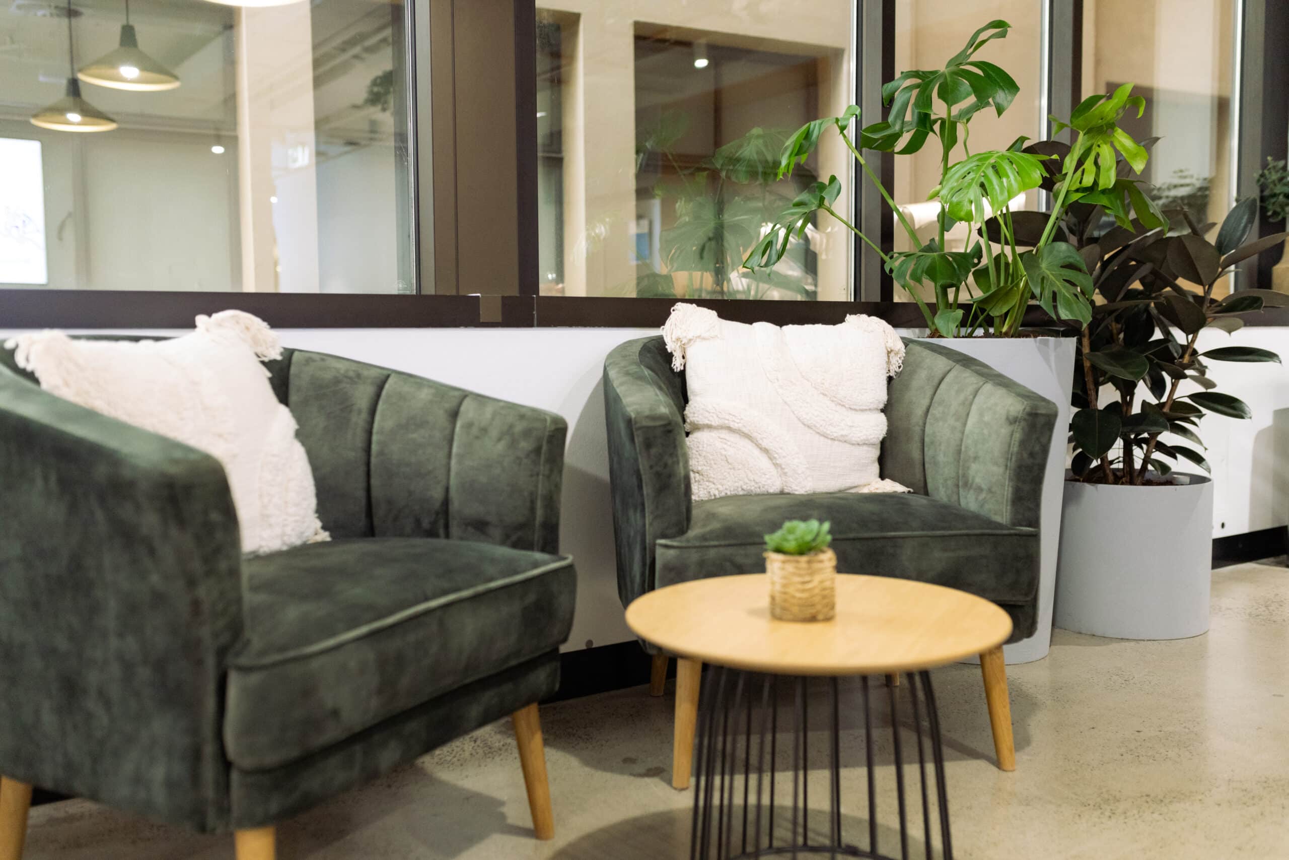 reduce office noise with plants