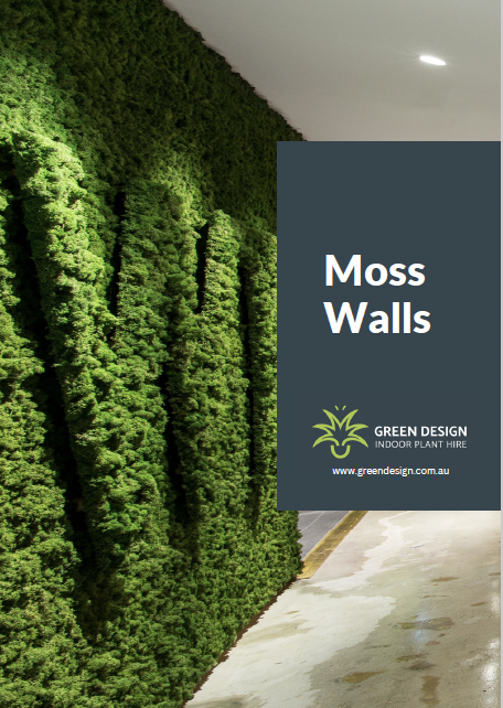 Green Design Moss Walls