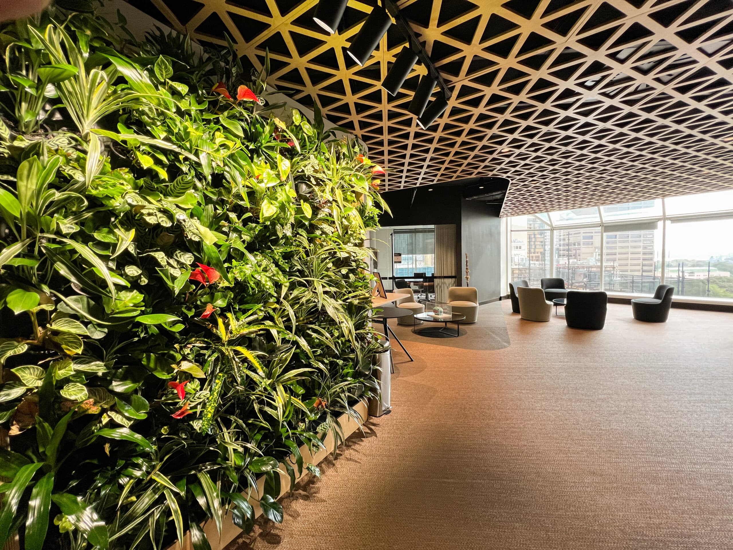 Next Gen living wall, green wall,