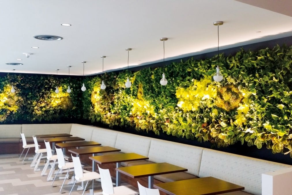 Nextgen Living Wall