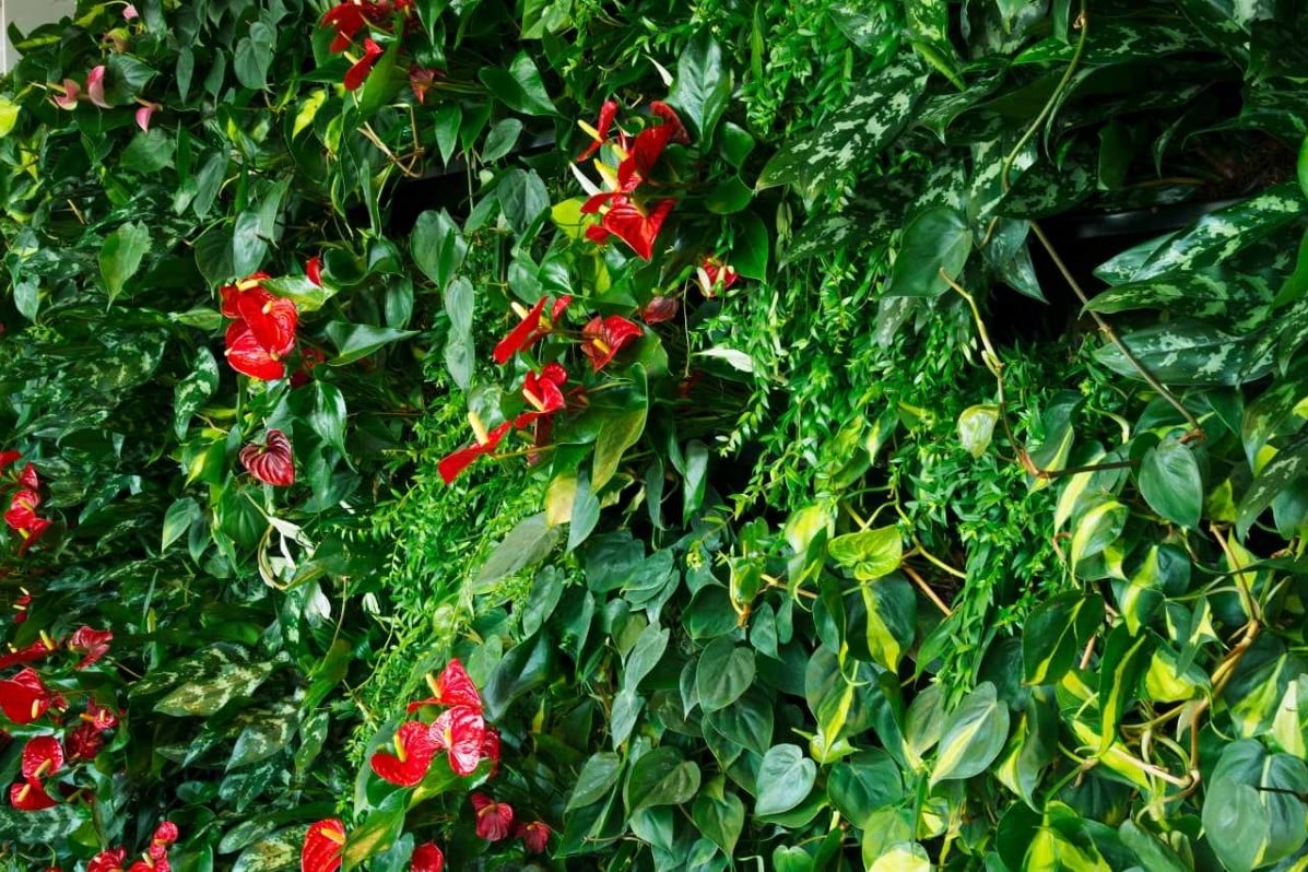 Nextgen Living Wall 218 3x2