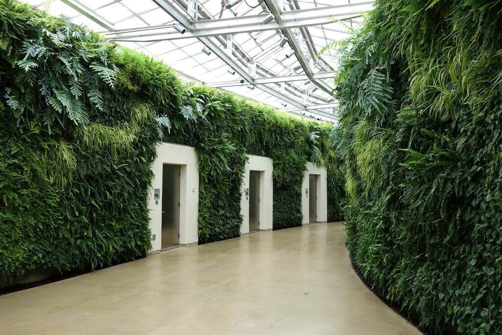 Green Wall at Longwood Gardens