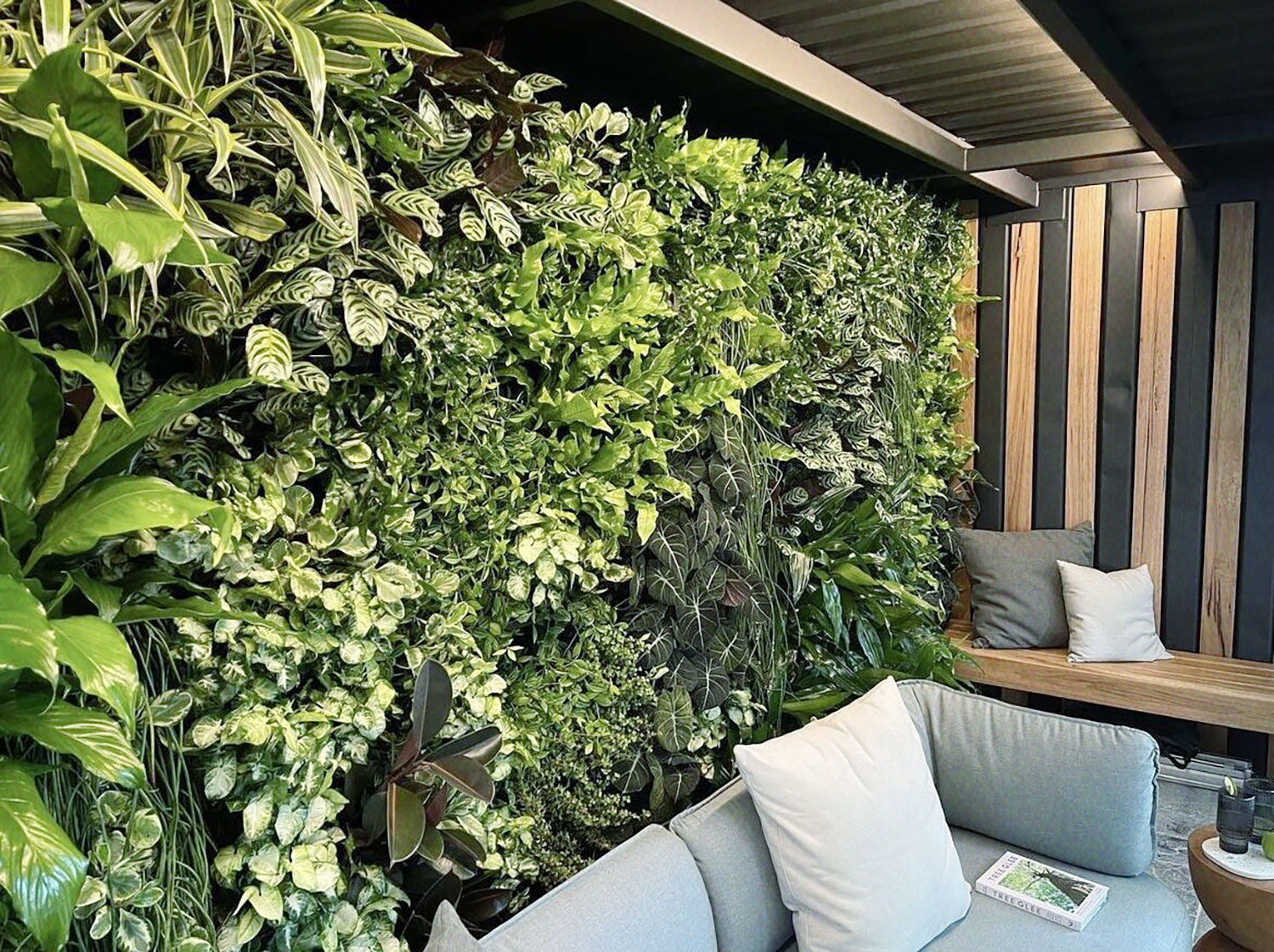 Biophilia Benefits of a Green Wall
