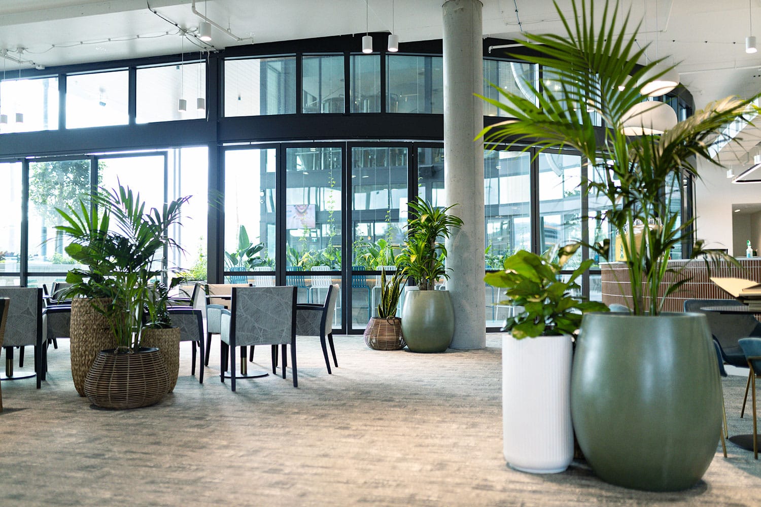 Biophilia in the Workplace