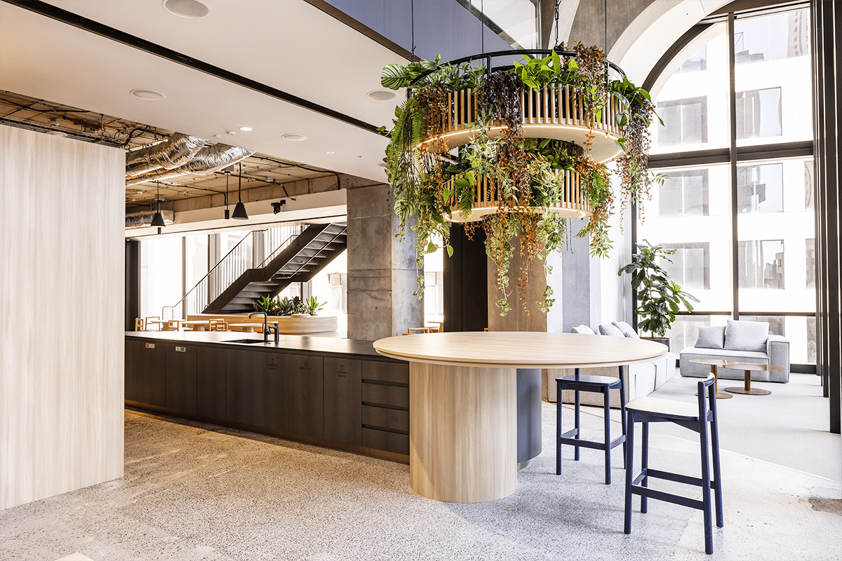 Indoor Plant Hire Sydney Corportate Installation