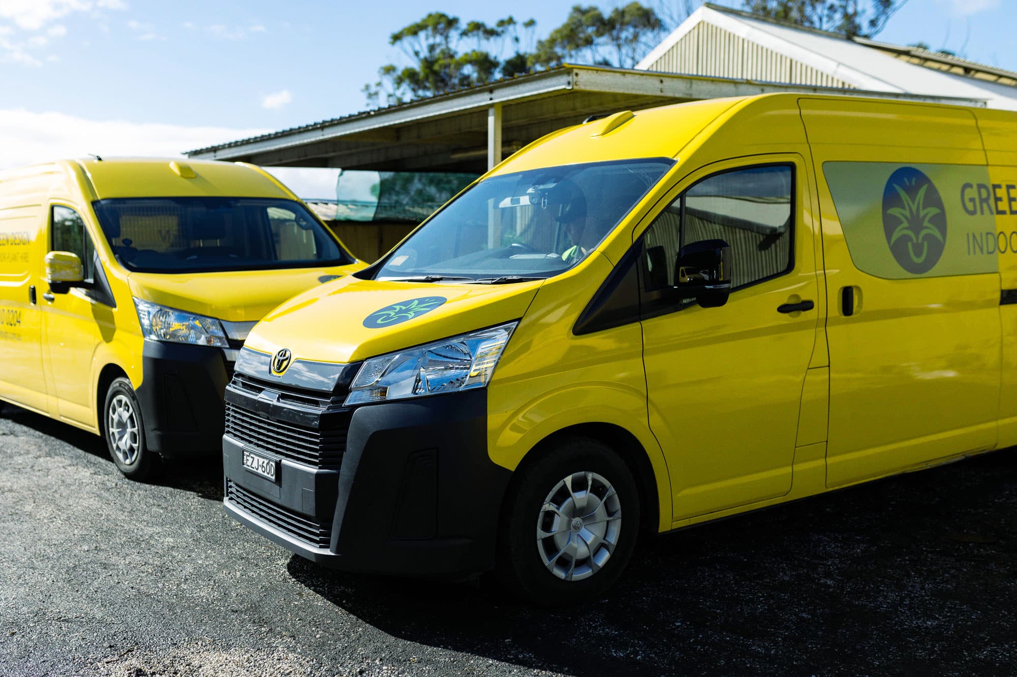 News from Green Design Indoor Plant HIre
