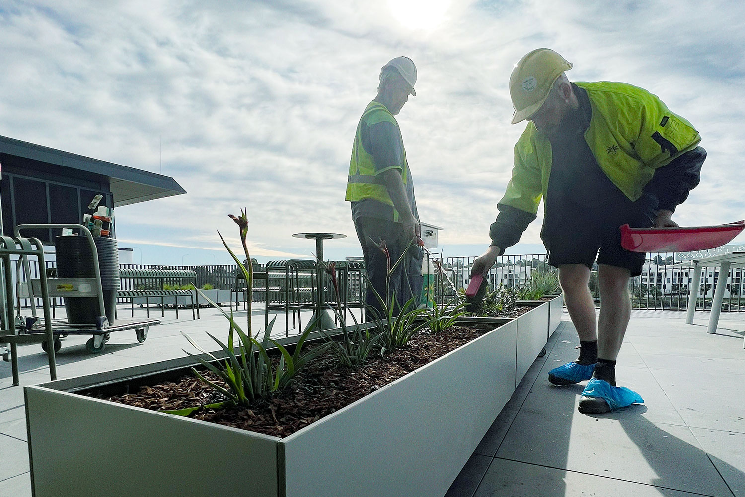 Plant Hire Maintenance