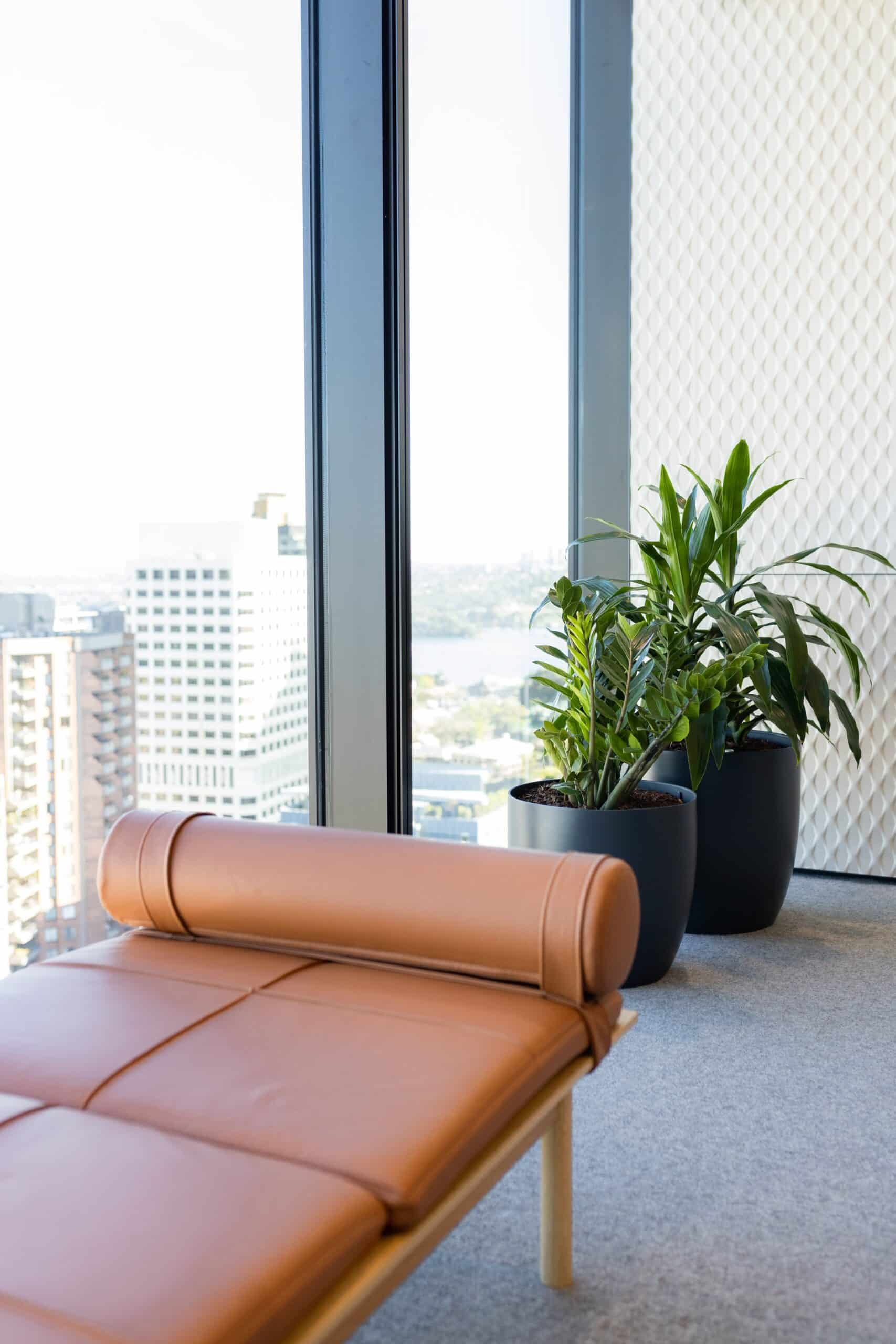 Clifford Chance Office Plants
