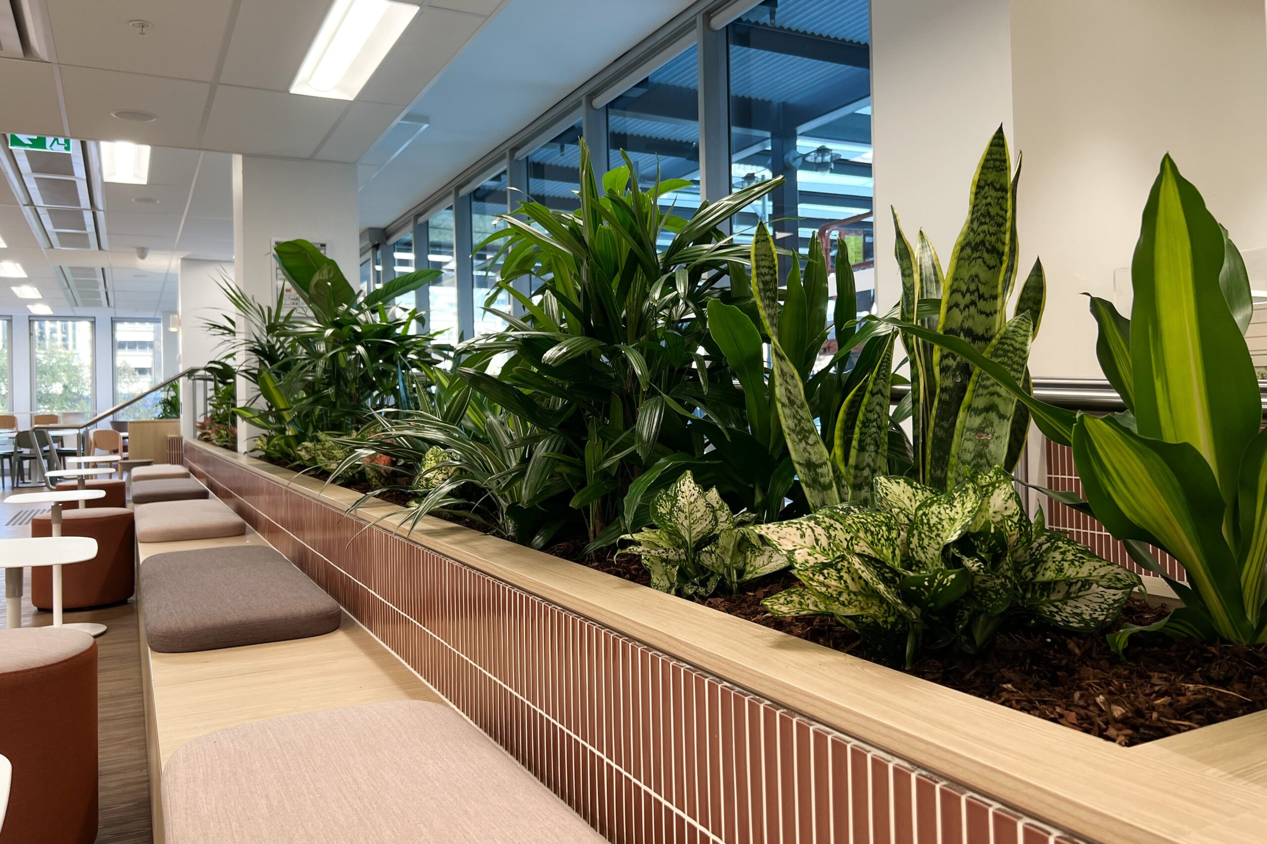 College of Law Joinery Project 6