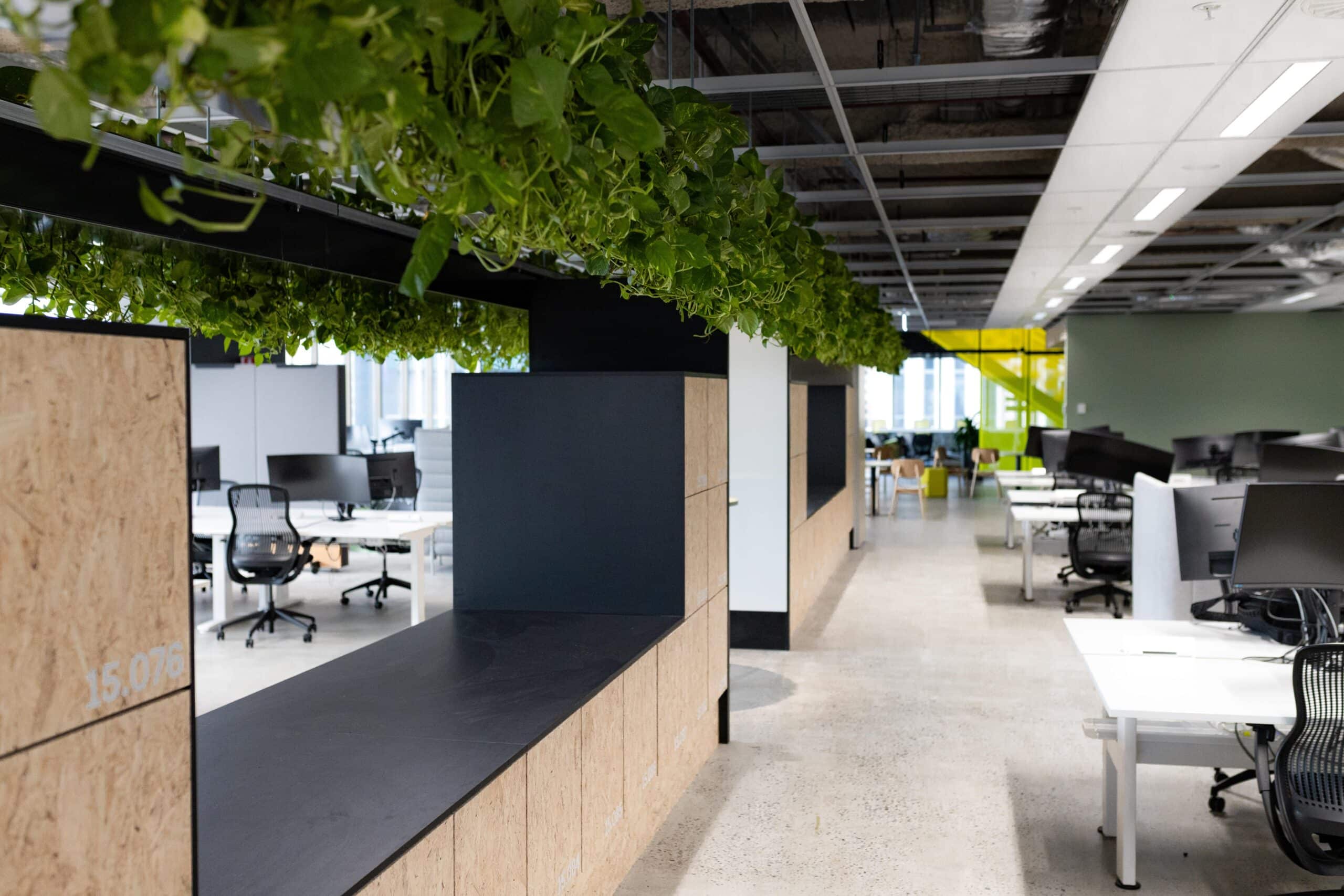 Tyro Payments Award Winning Office Plantscaping Project