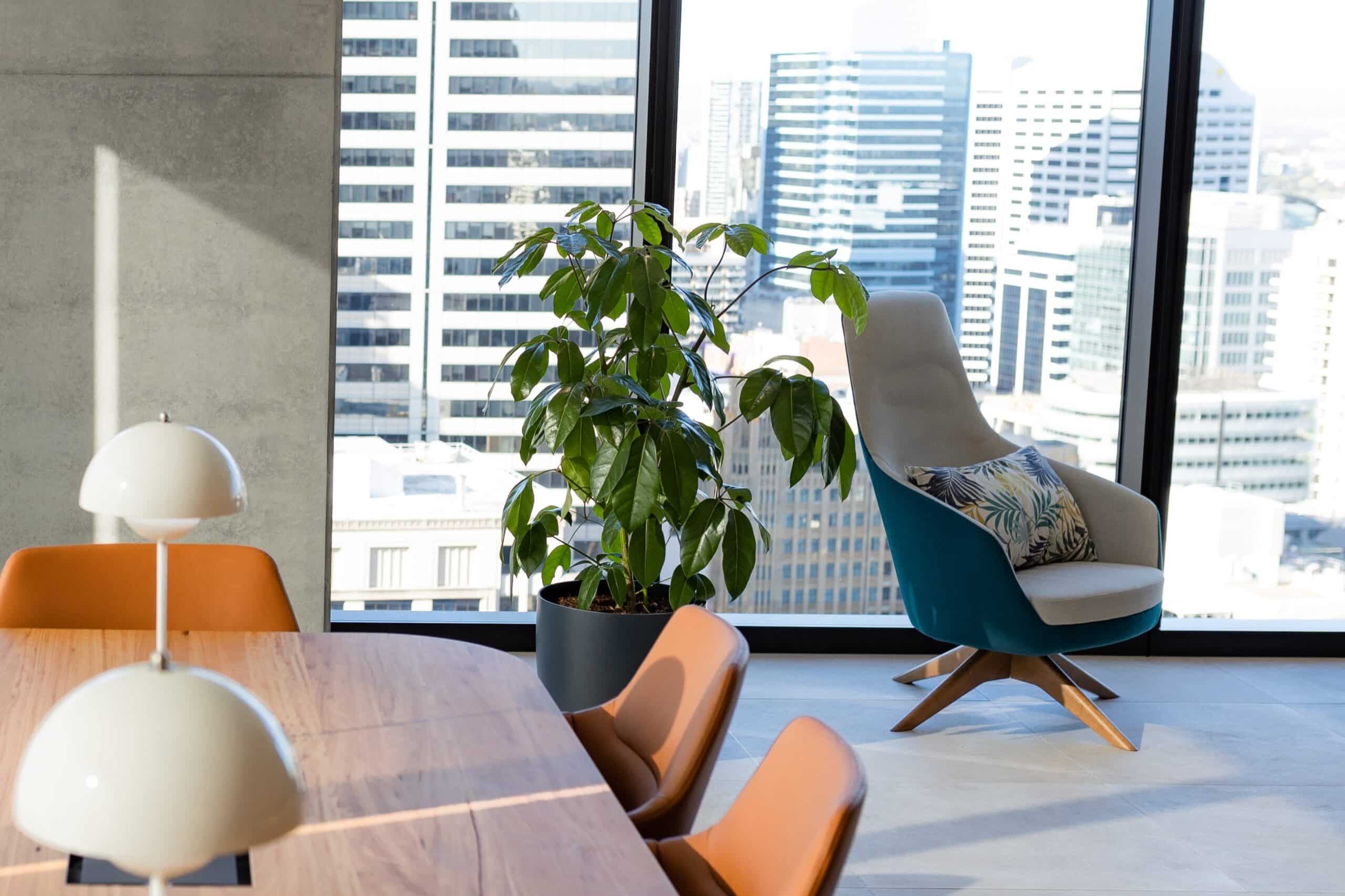 Amate Office Plant 2