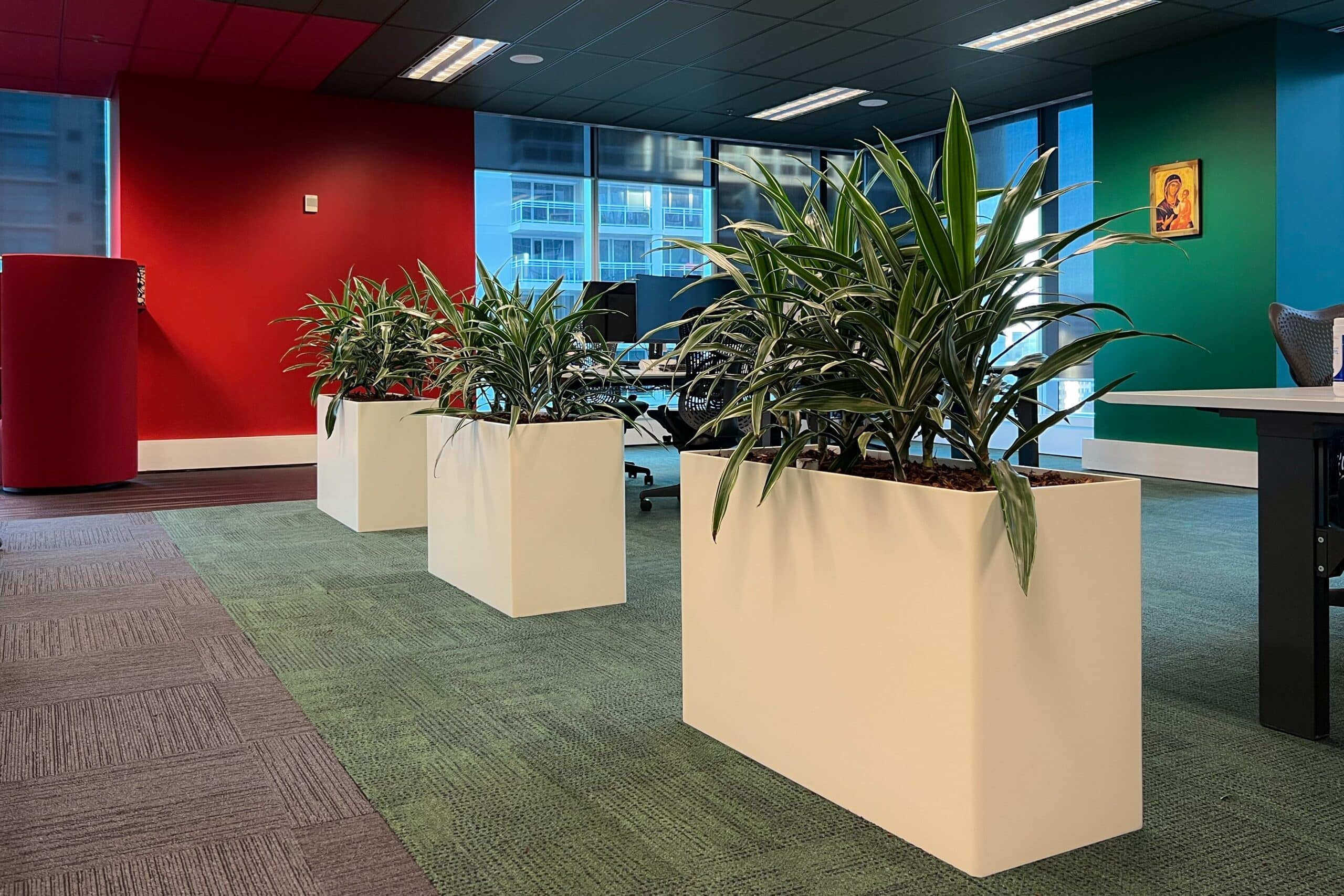 Bush Deremensis Large Plant Hire 1