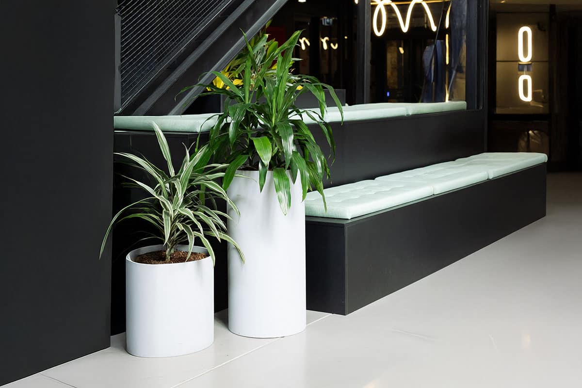 Bush Janet Craig Floor Plant Hire 3