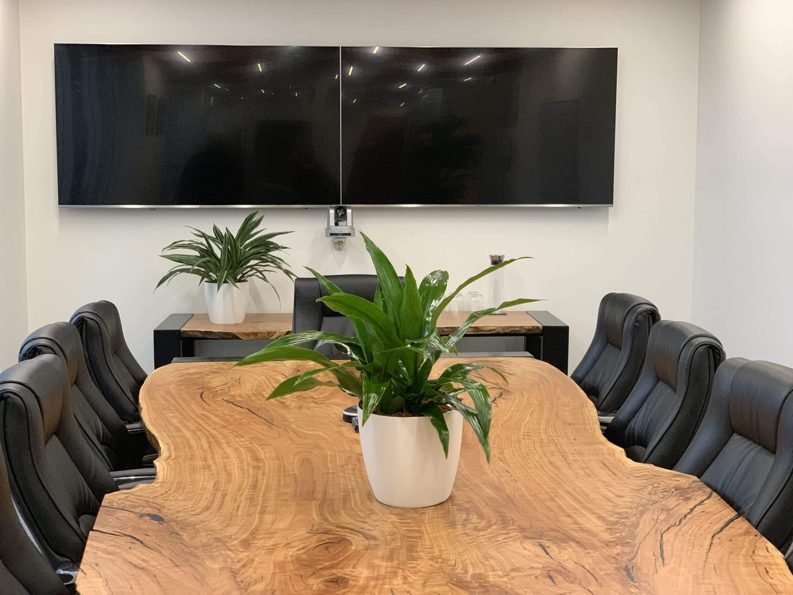 Bush Janet Craig Tabletop Plant Hire 2