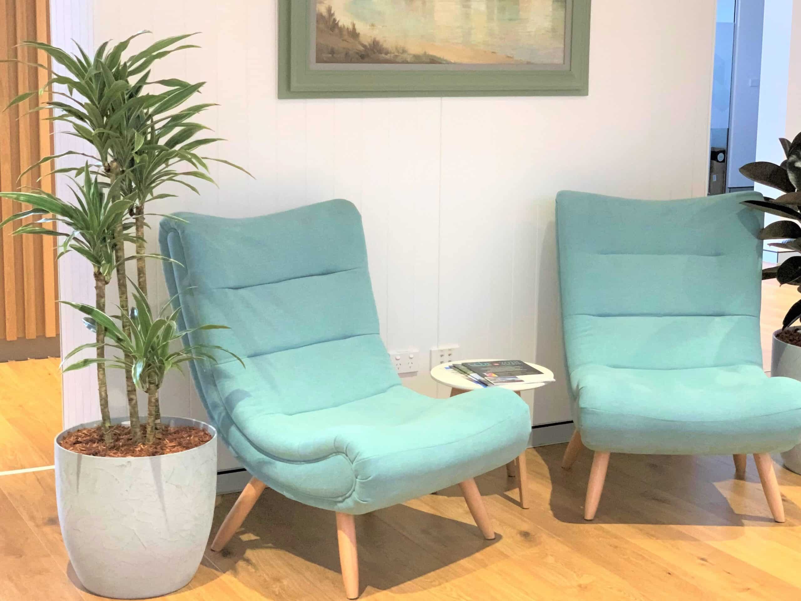 Cane Deremensis Indoor Plant Hire