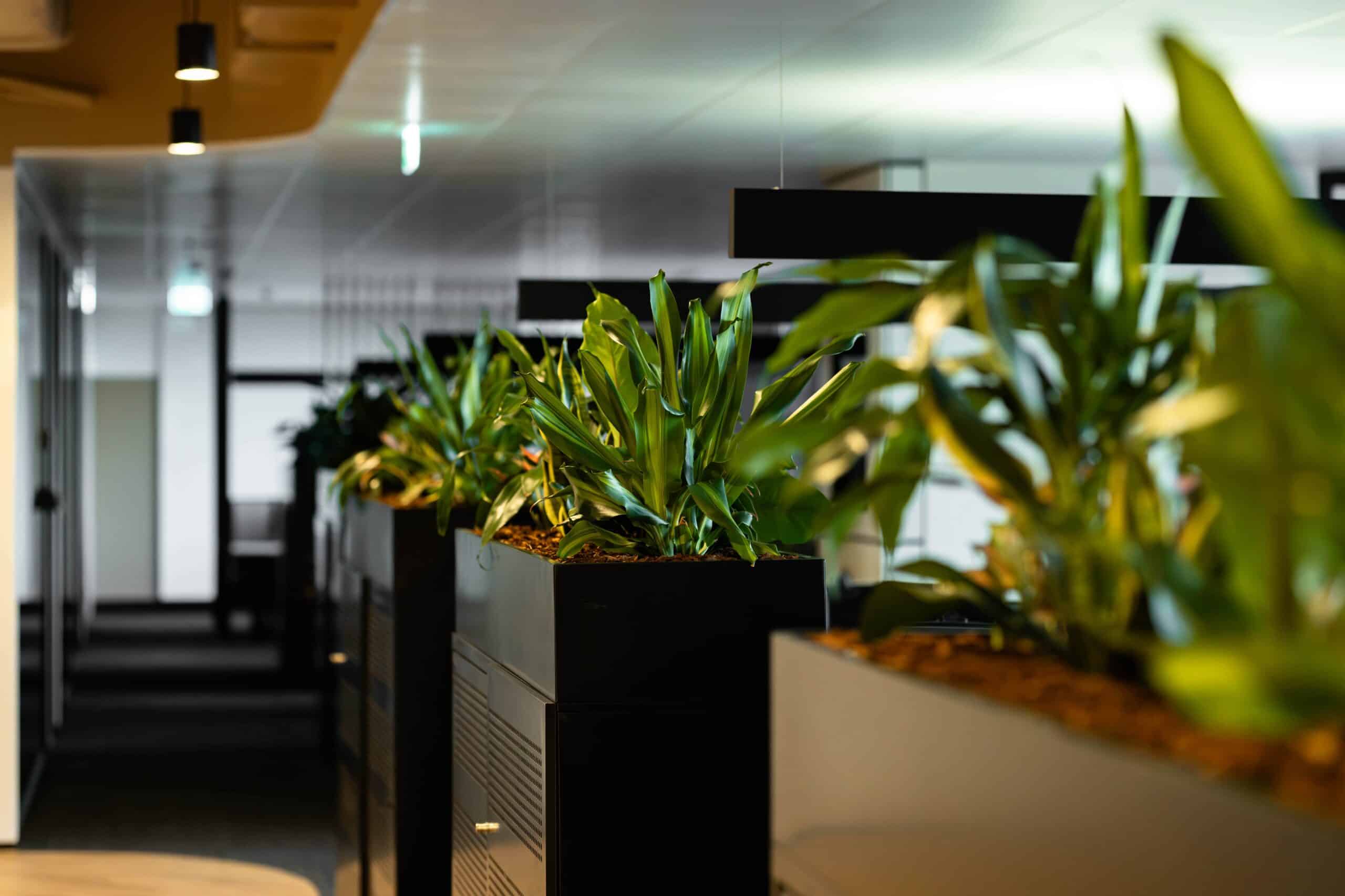 Centuria Project 2