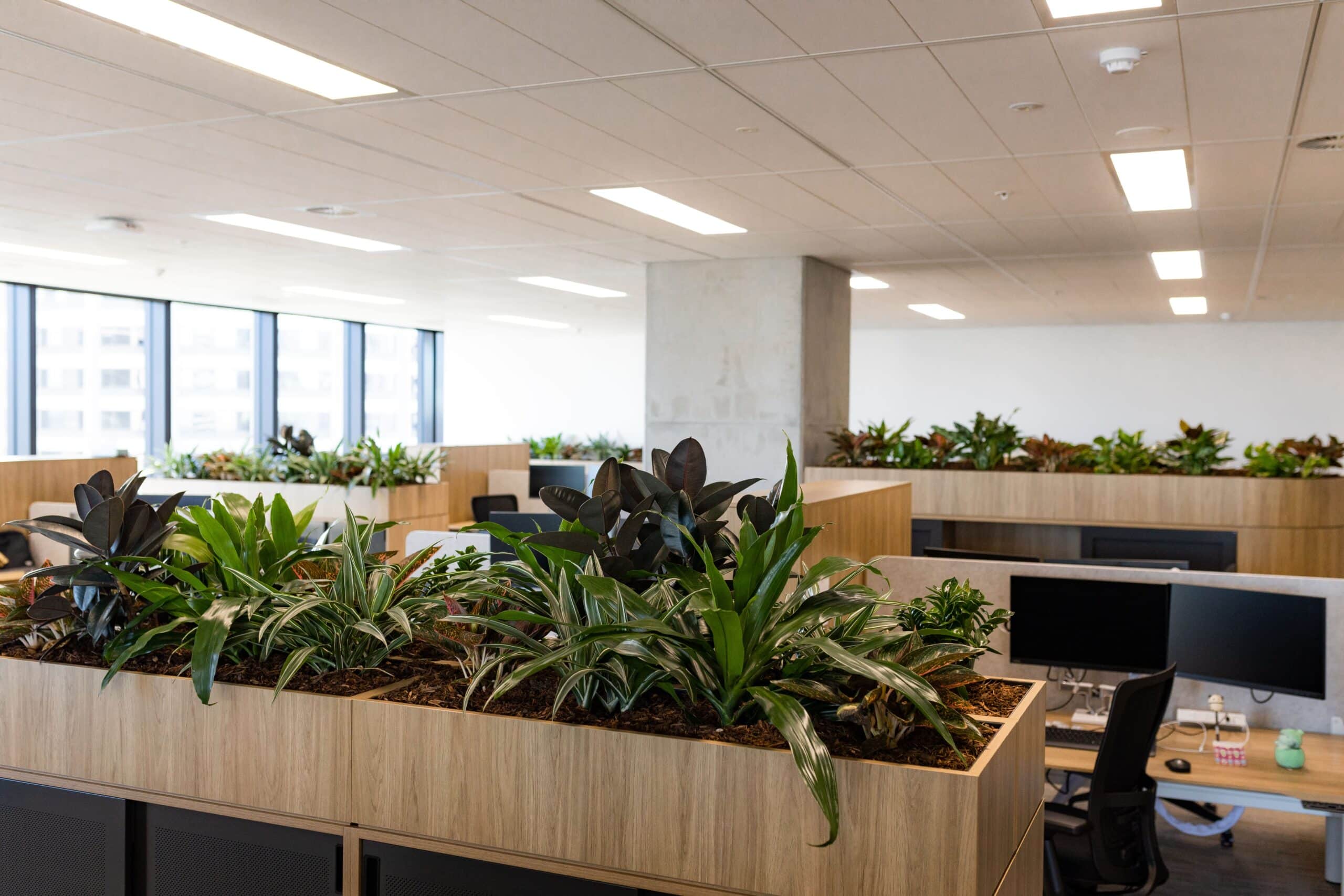 Clifford Chance Joinery 3