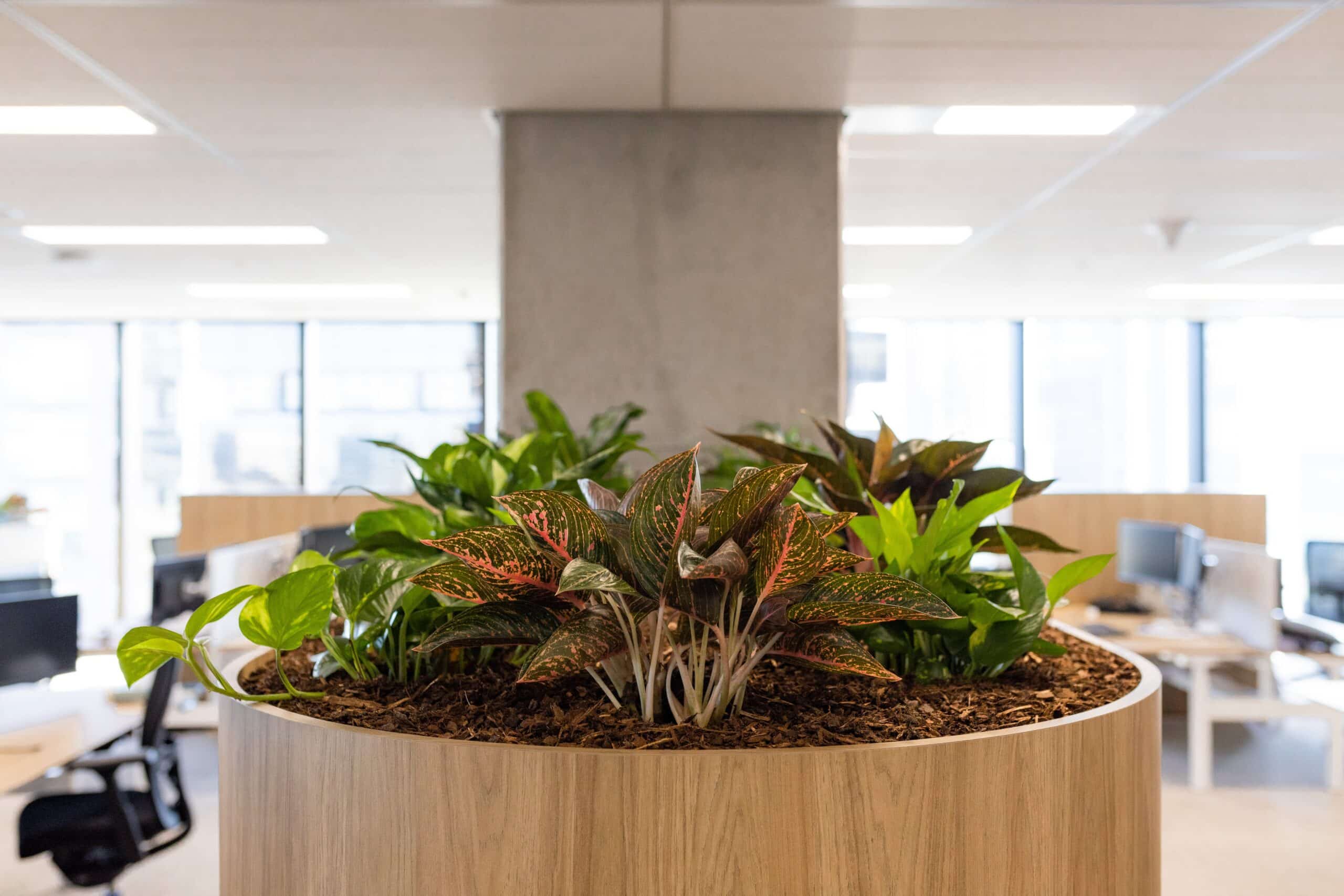 Clifford Chance Joinery 4