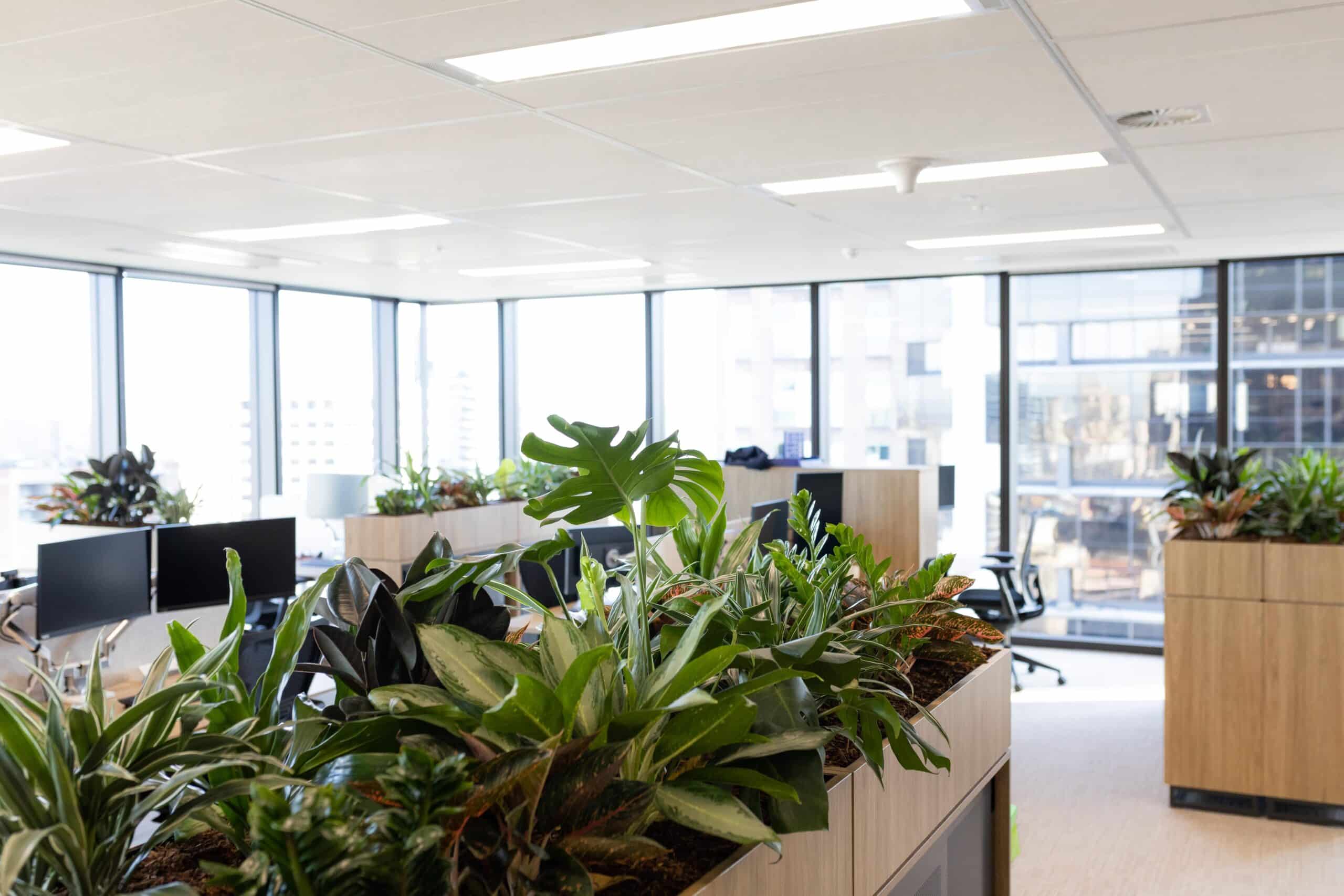 Clifford Chance Joinery 6