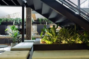 Custom Indoor Plant Solutions