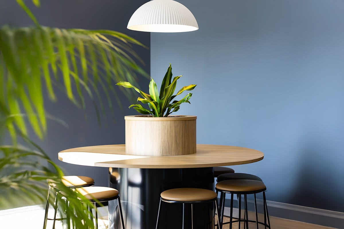 Happy Plant Tabletop 1