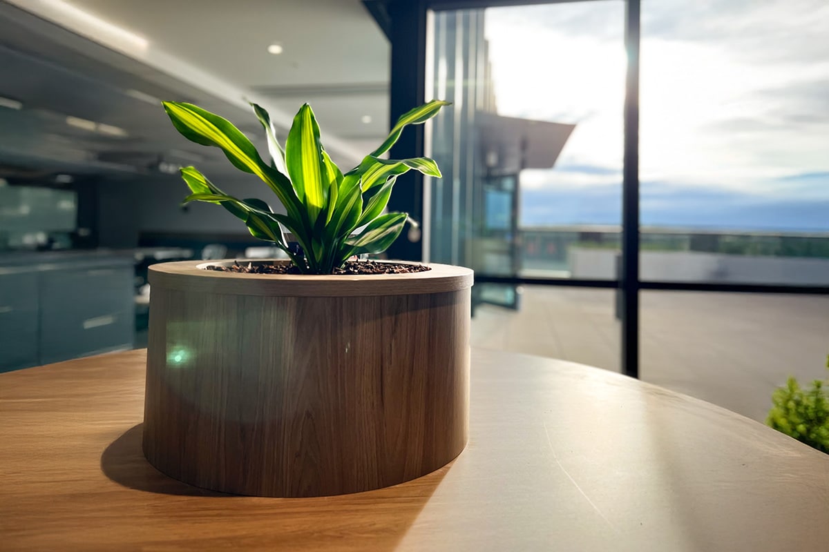 Happy Plant Tabletop 3