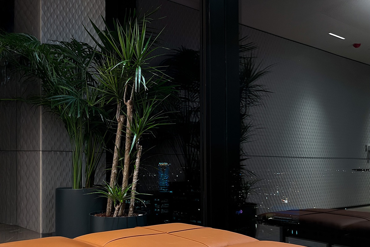 Marginata Corporate Plant Hire 2
