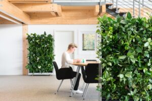 Corporate Indoor Plant Hire - Mobile Green Walls