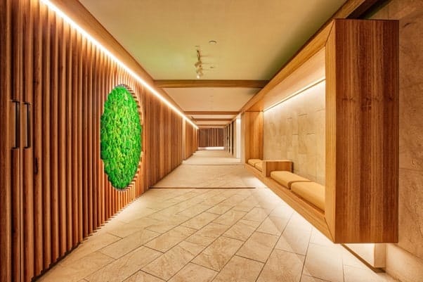 Moss Wall at the Deloitte Office