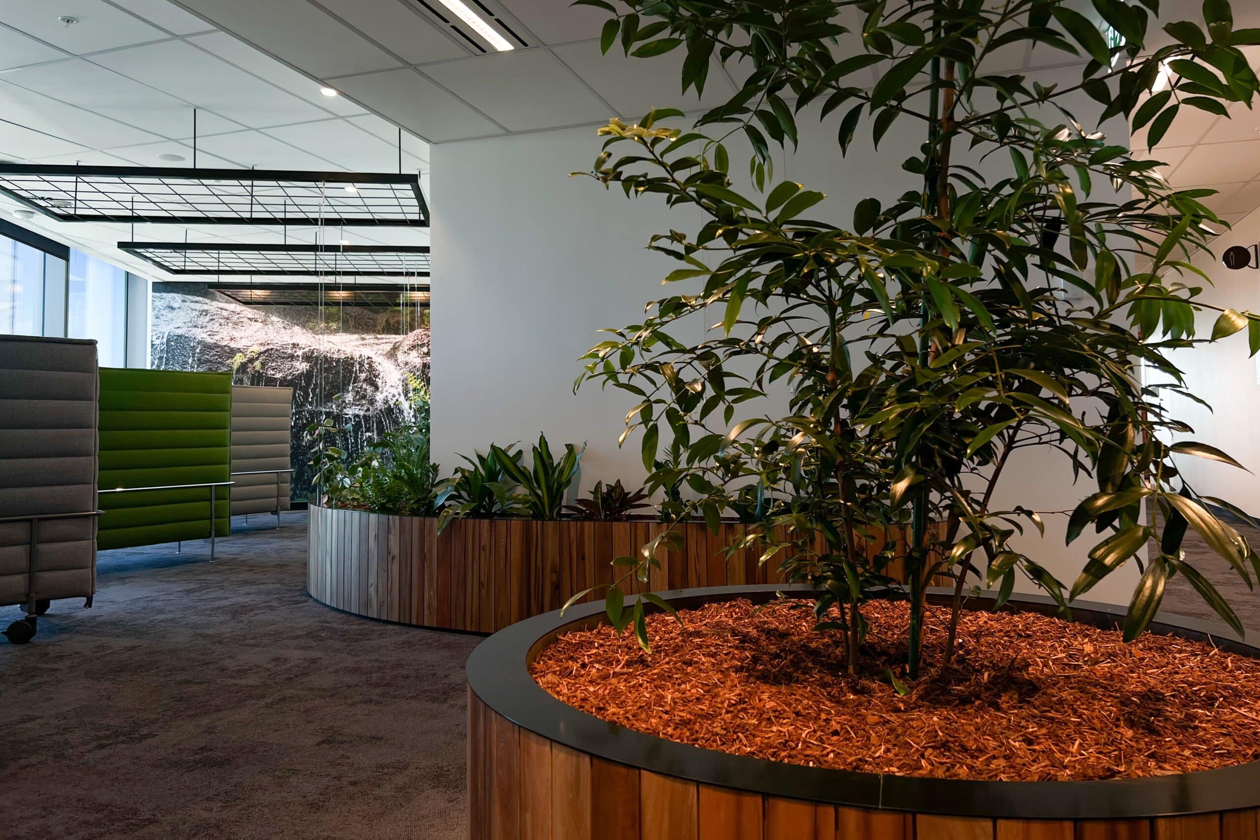 Parramatta Project 2