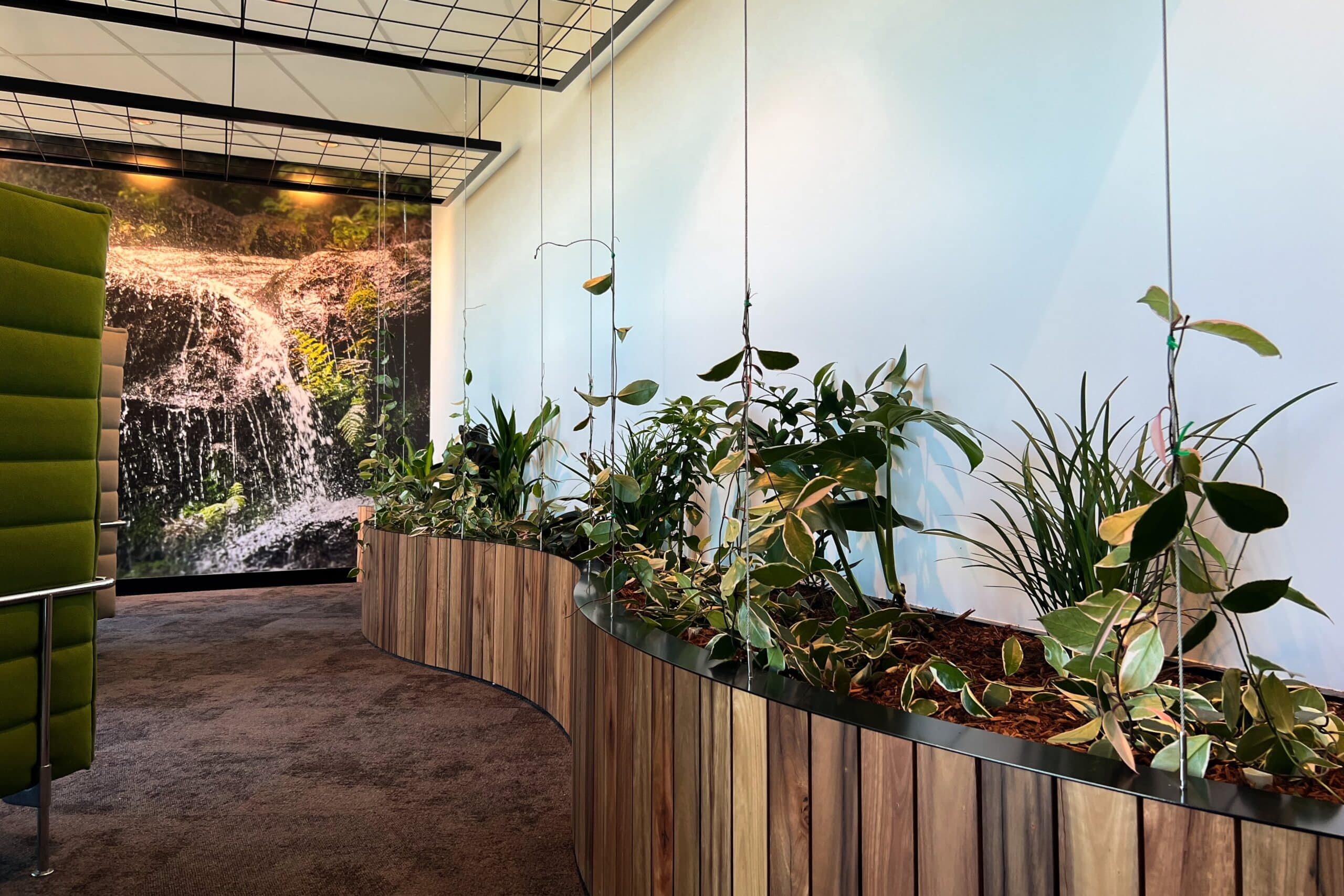 Parramatta Project 5