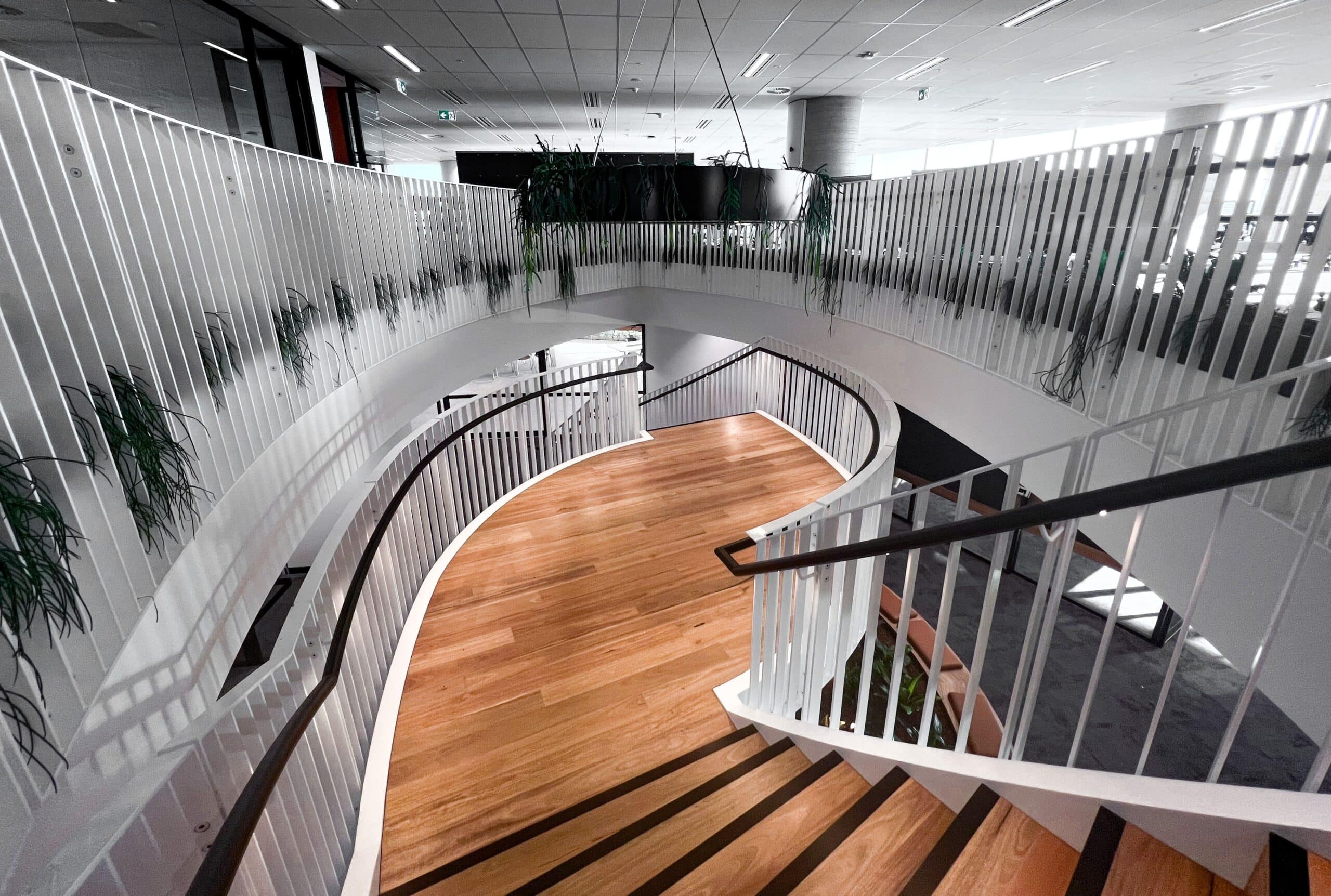 Parramatta Project 7