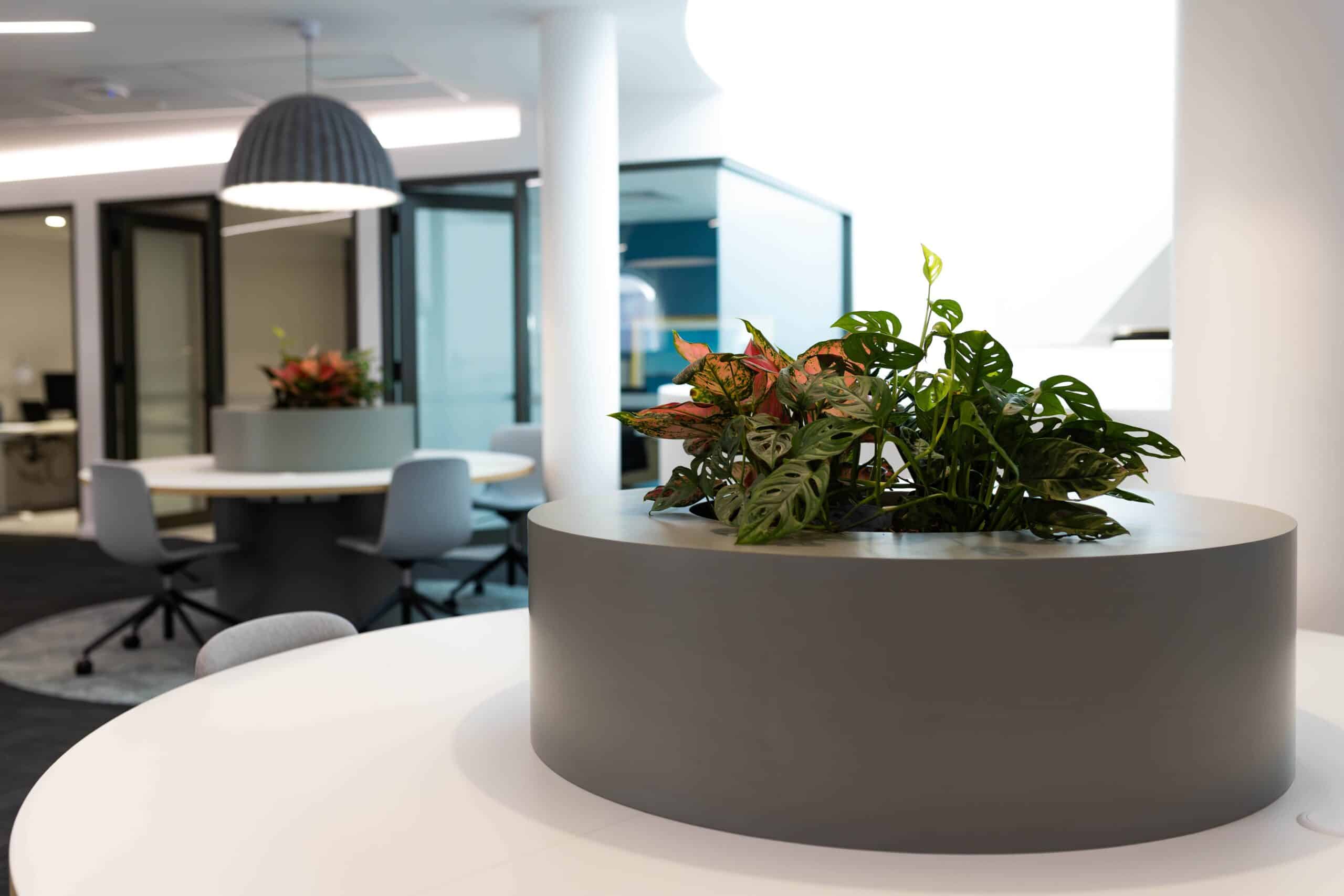 Ramboll Project 2